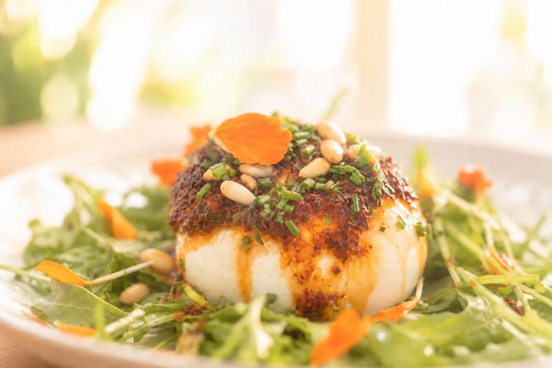Burrata con pesto rojo, piñones, cebollino y una flor comestible sobre una base de rúcula