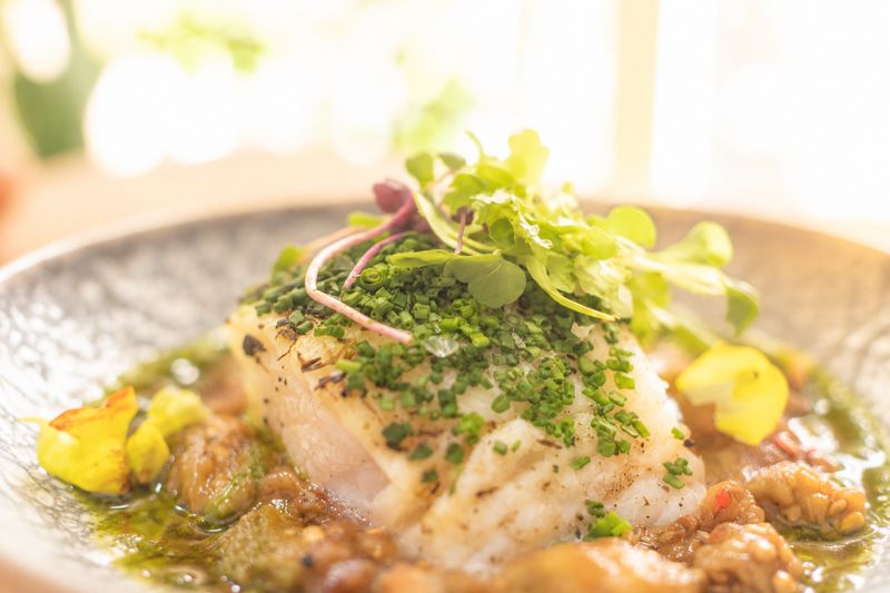 Lomo de pescado blanco con cebollino, brotes y flores comestibles en un plato de cerámica oscura